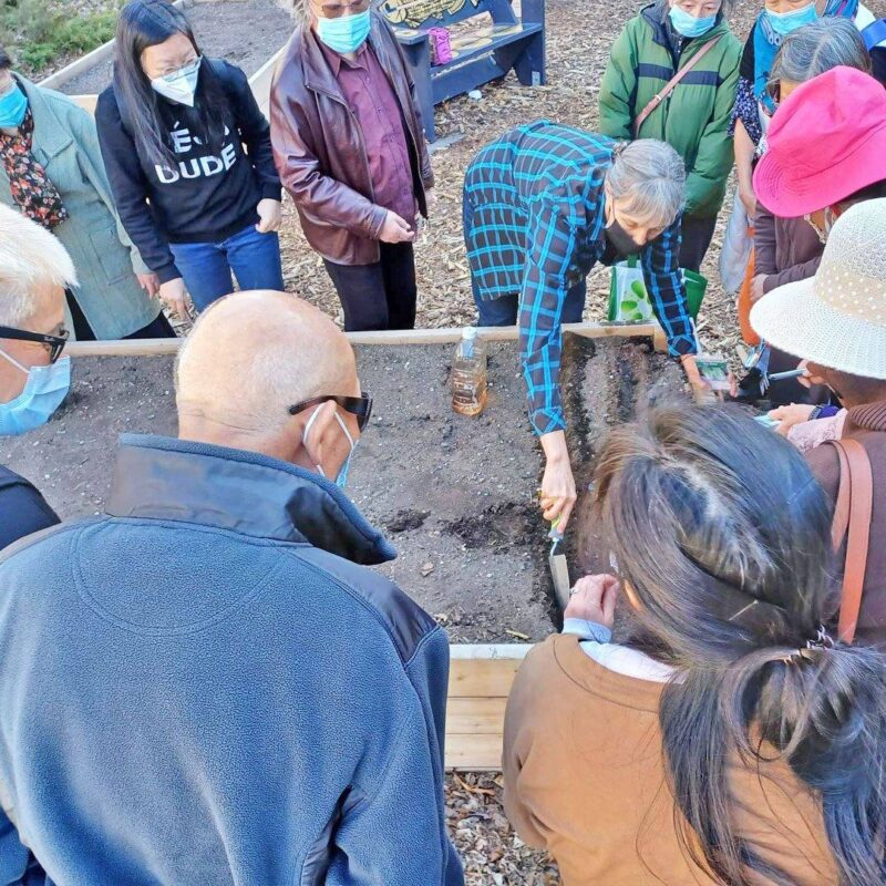 Community gardening and landscape design workshops for Calgary non-profit organizations