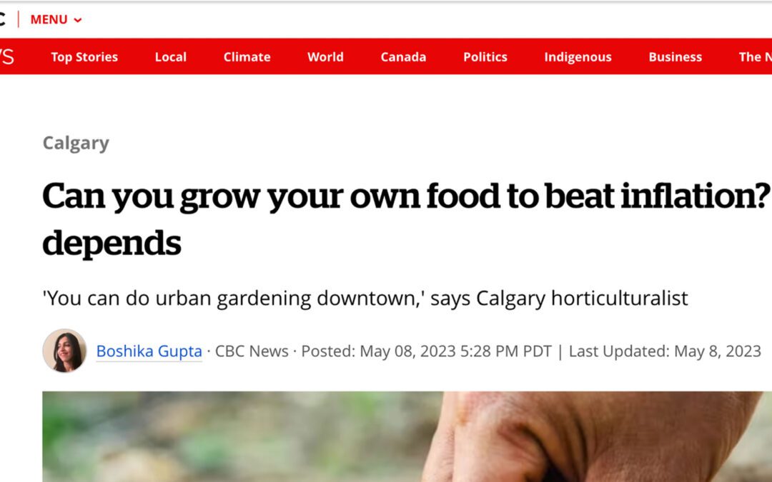 CBC-Article-Featuring-Inhabit-Can-you-grow-your-own-food