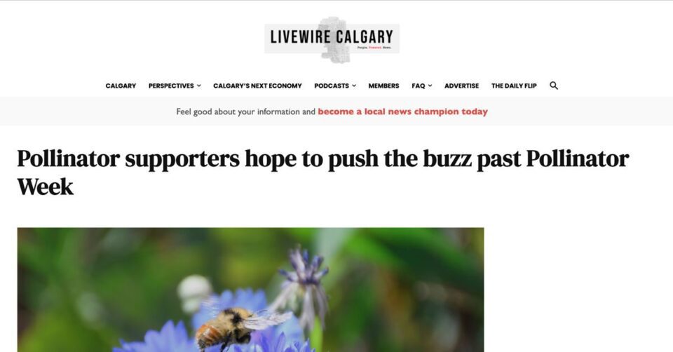 Inhabit-Livewire-article-on-pollinators
